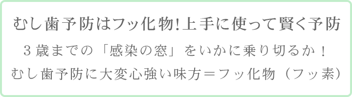 むし歯予防はフッ化物！上手に使って賢く予防 3歳までの「感染の窓」をいかに乗り切るか！むし歯予防に大変心強い味方＝フッ化物（フッ素）