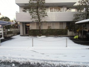 川越歯科医院　雪かき